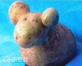 小羊新外观爆料视频,视频爆料带你领略全新风采