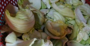 潮汕咸菜爆料视频播放大全,海量视频带你领略潮汕美食魅力 第1张 潮汕咸菜爆料视频播放大全,海量视频带你领略潮汕美食魅力 第1张